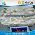 Tamaño 400 -600g congelado Argentina Squid Head